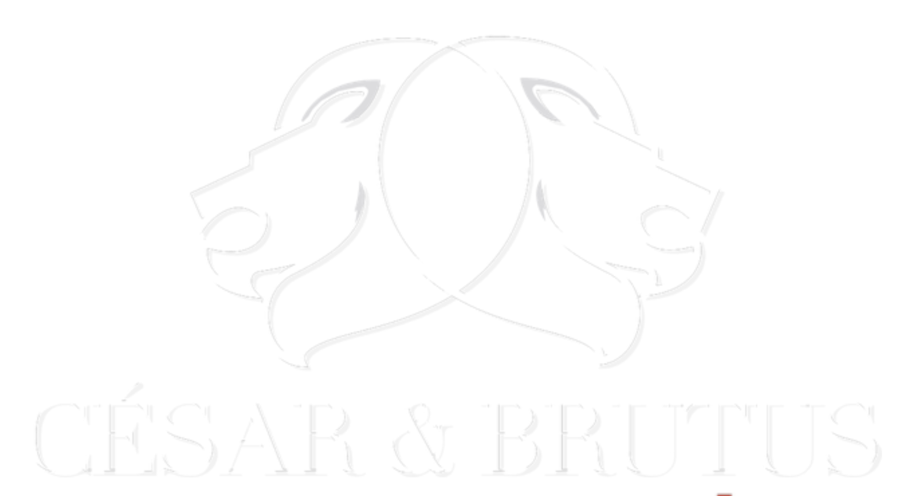 César & Brutus